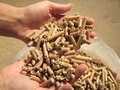 Pellet gyrts + elektromos energia